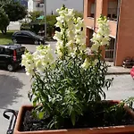Pensión Giada Gubbio