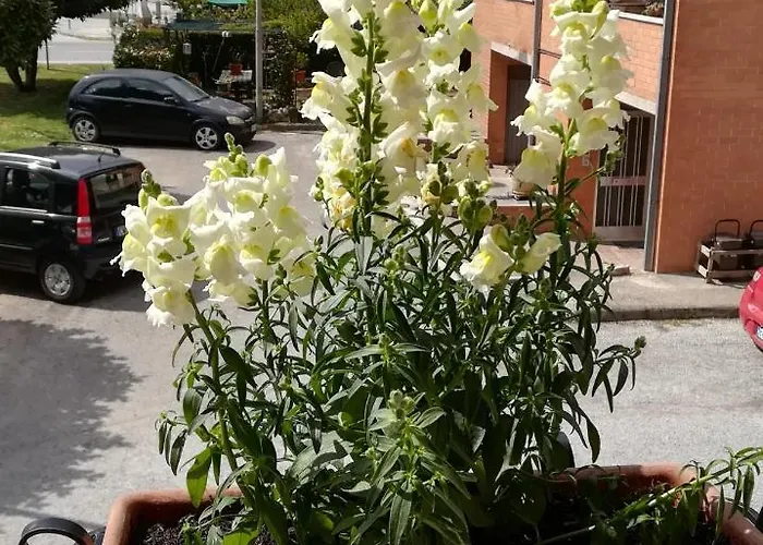 Penzion Giada Gubbio